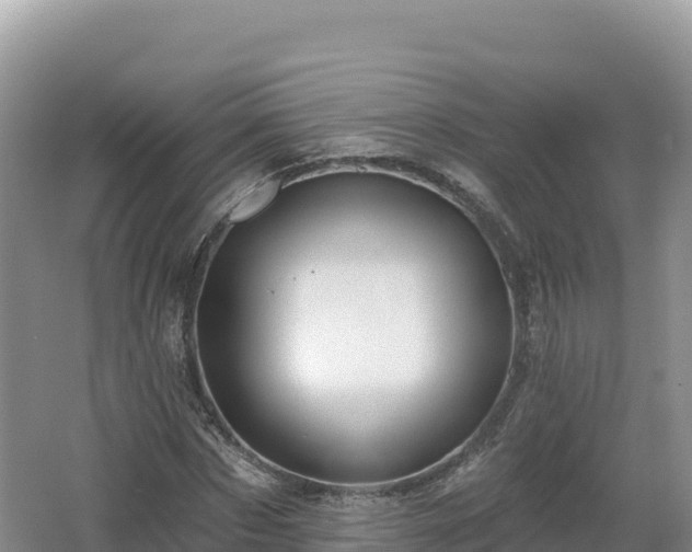 X0000062140873200512121239