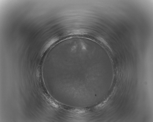 X0000062140874200512121239