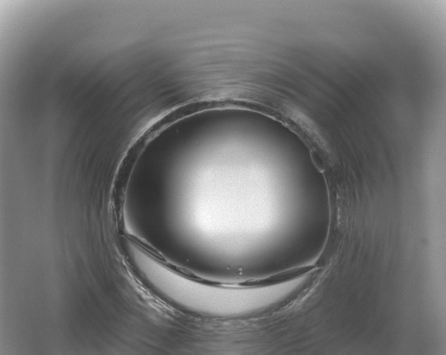 X0000062140876200512121239