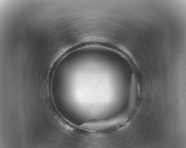 X0000062140877200512121239