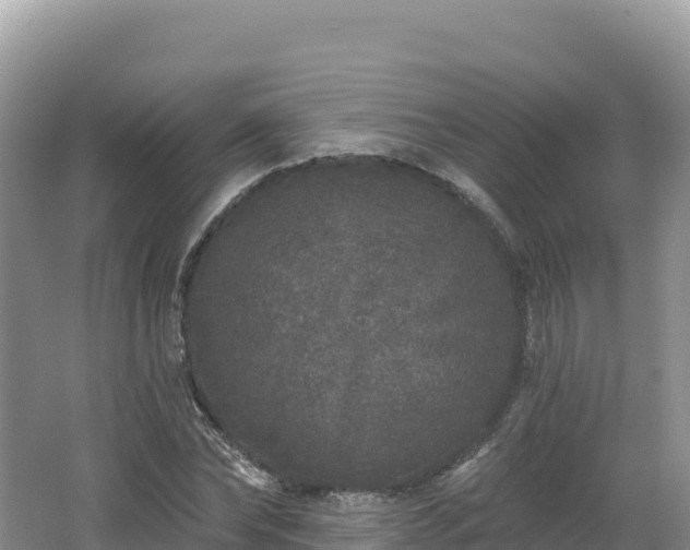 X0000062140878200512121239