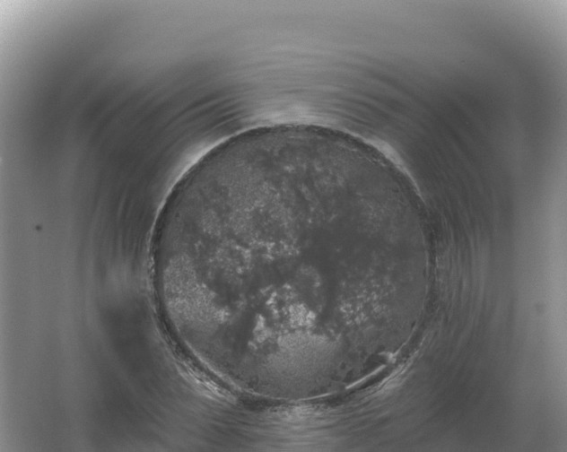 X0000062140879200512121239