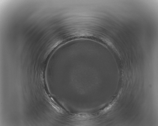 X0000062140881200512121239