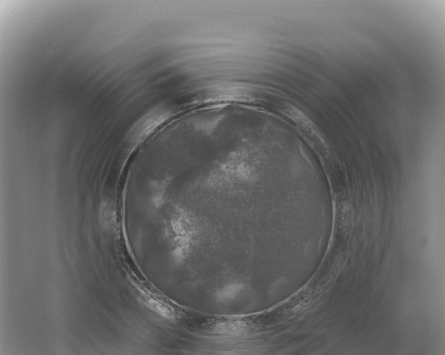 X0000062140882200512121239