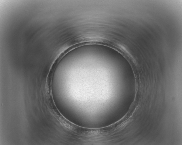 X0000062140883200512121239