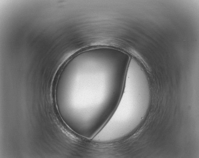 X0000062140884200512121239