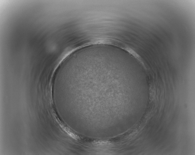 X0000062140886200512121238