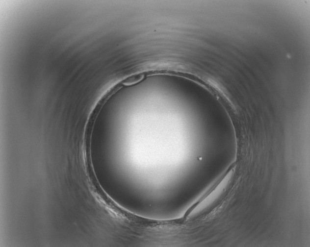 X0000062140888200512121238