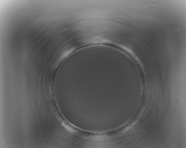 X0000062140889200512121238