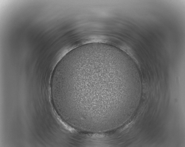 X0000062140890200512121238