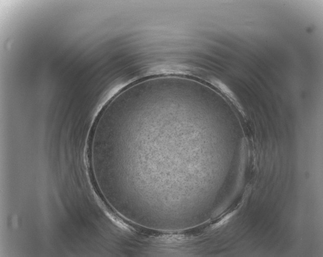 X0000062140893200512121238