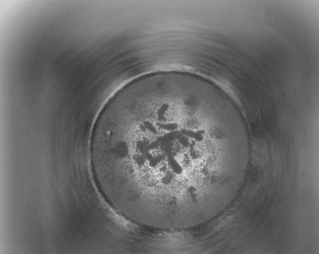 X0000062140895200512121238