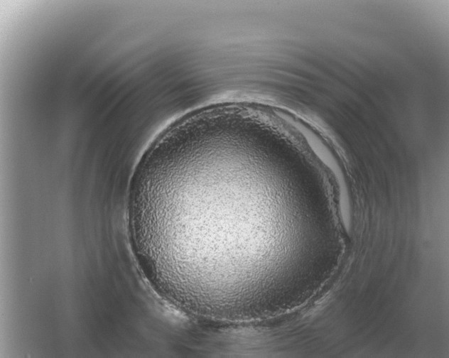 X0000062140896200512121238