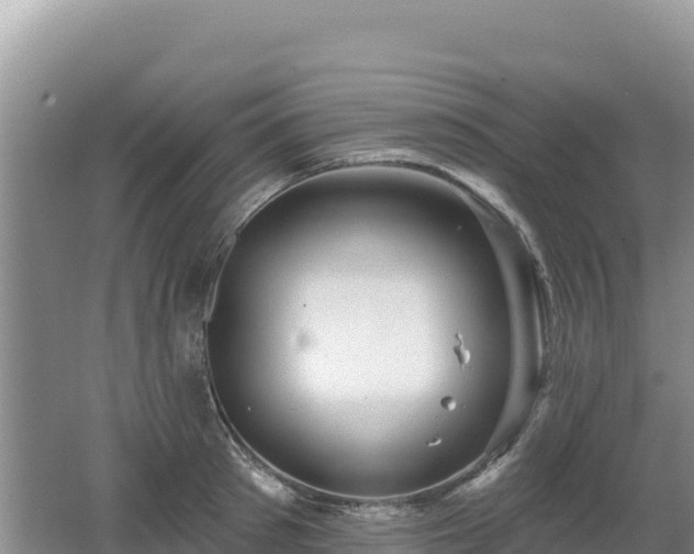 X0000062140897200512121238