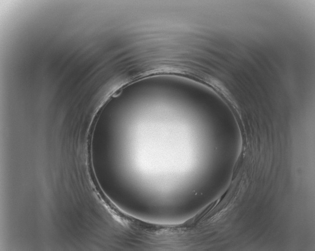 X0000062140898200512121238