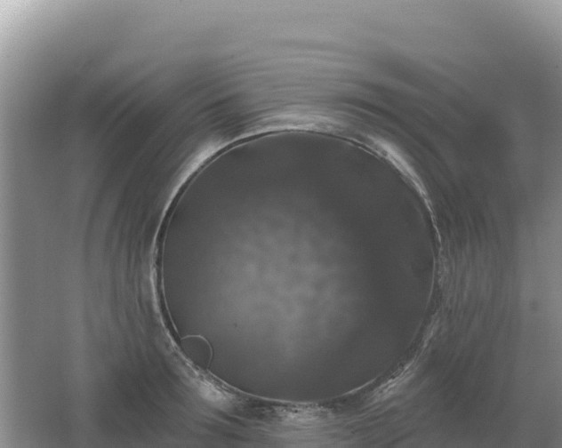 X0000062140899200512121238