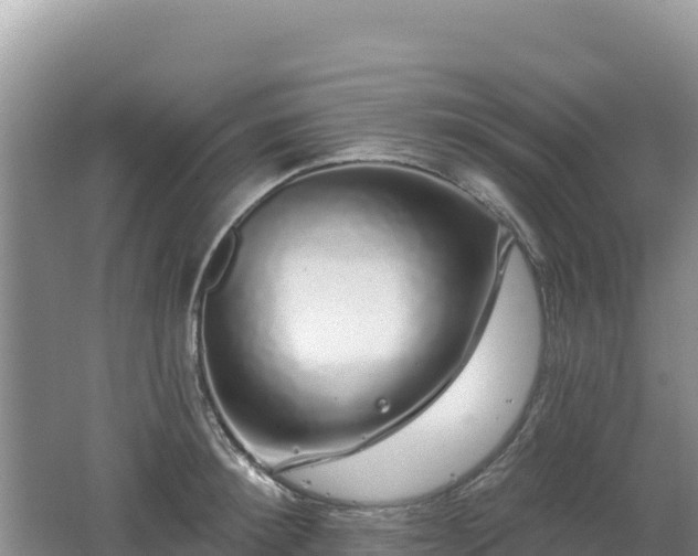 X0000062140900200512121238