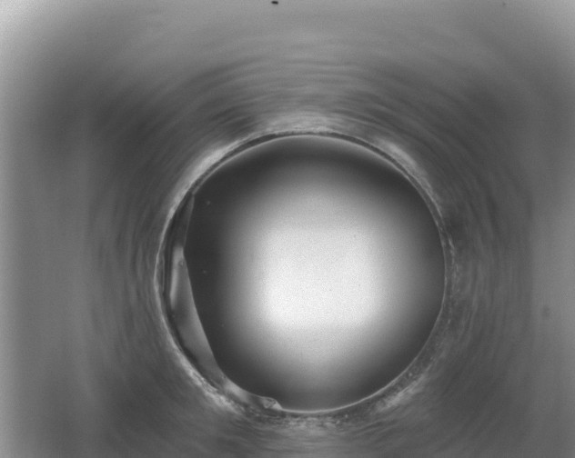 X0000062140901200512121238