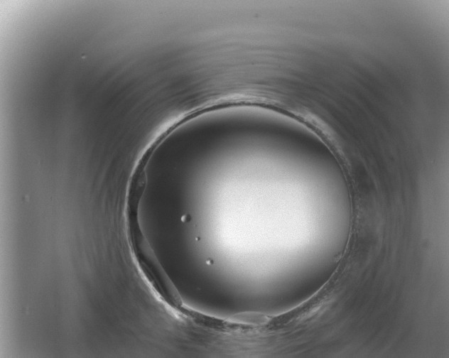 X0000062140902200512121238