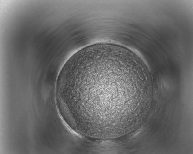 X0000062140903200512121238