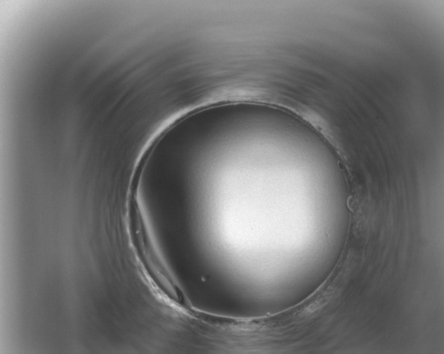 X0000062140904200512121238