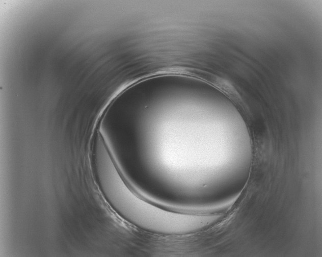 X0000062140908200512121238