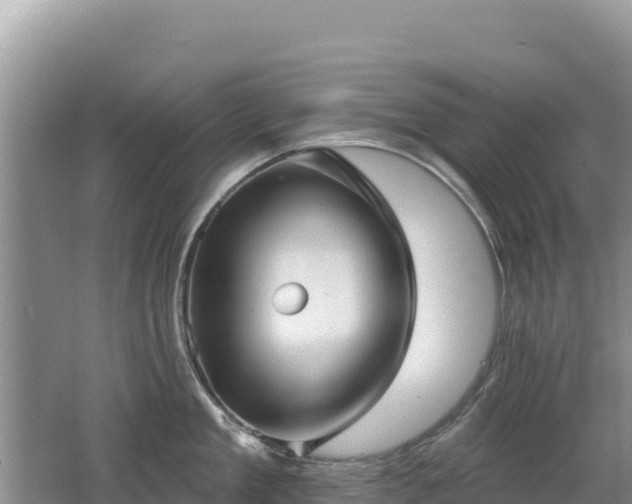 X0000062140909200512121238