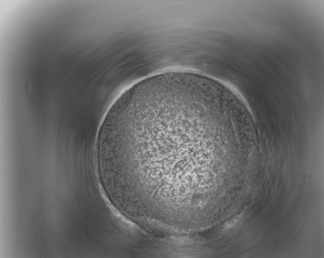 X0000062140911200512121238