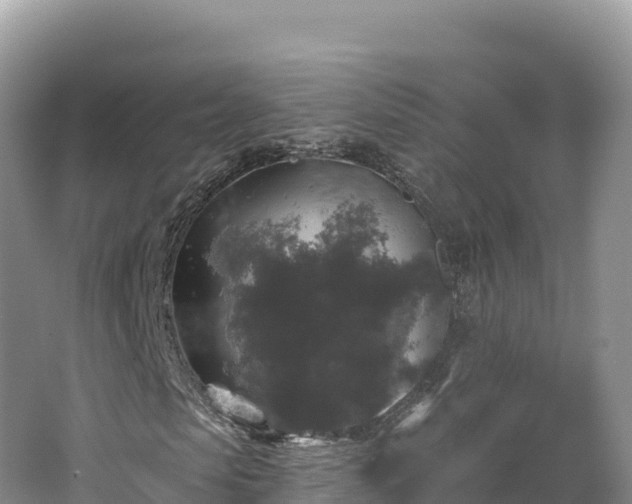 X0000062140913200512121237