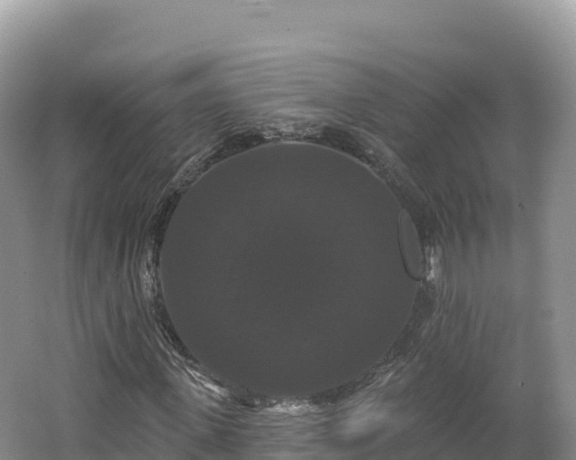 X0000062140915200512121237