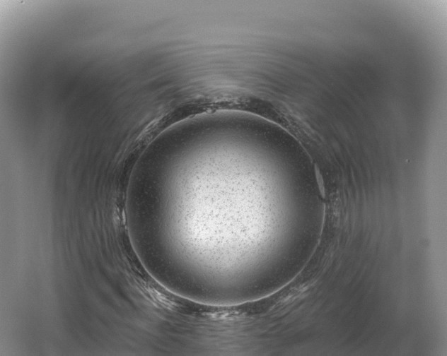 X0000062140916200512121237