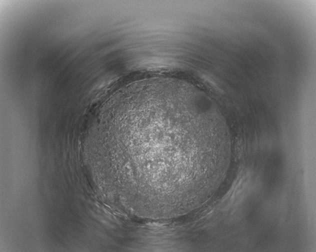 X0000062140917200512121237