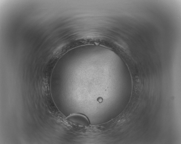 X0000062140918200512121237