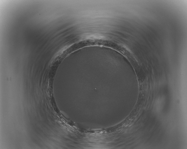 X0000062140919200512121237