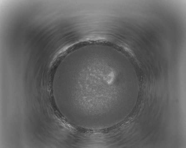 X0000062140920200512121237