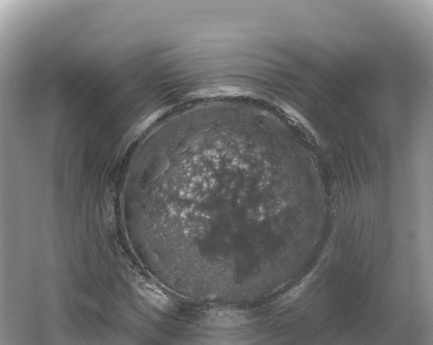 X0000062140921200512121237