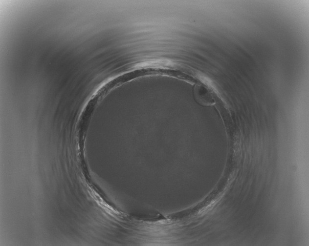 X0000062140923200512121237