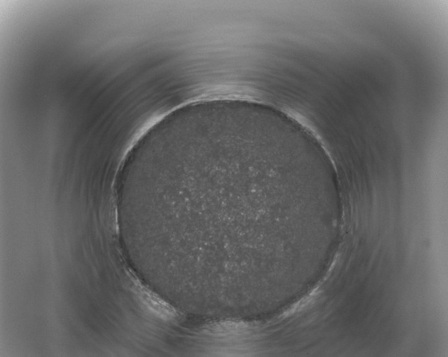 X0000062140925200512121237