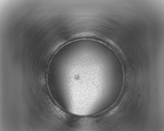 X0000062140929200512121238