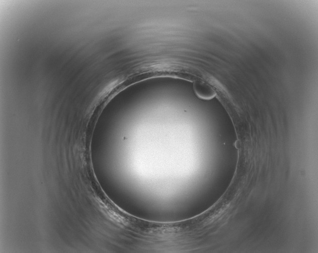 X0000062140930200512121238