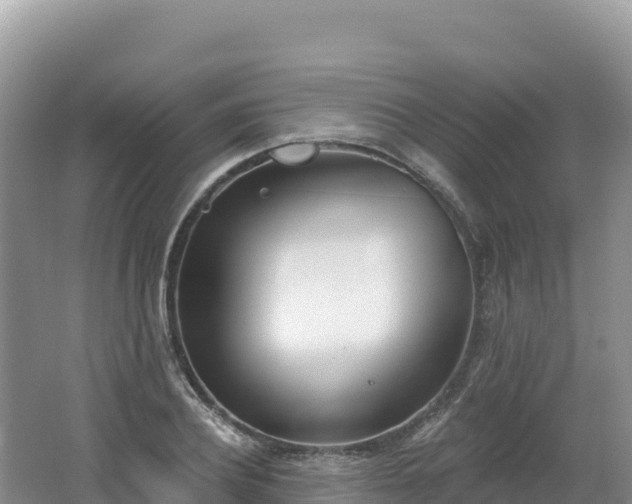 X0000062140932200512121238