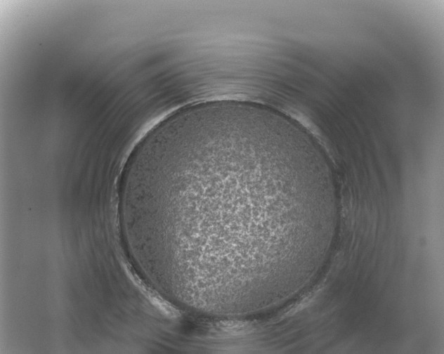 X0000062140933200512121238