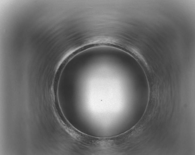 X0000062140936200512121238