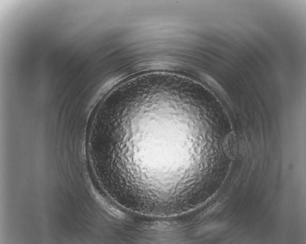 X0000062140938200512121238