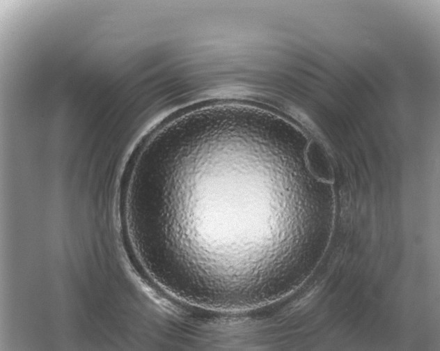 X0000062140939200512121238