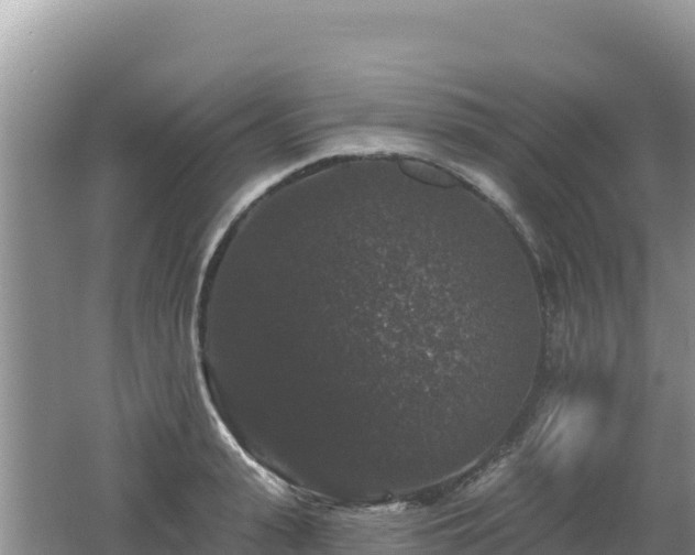 X0000062140943200512121238