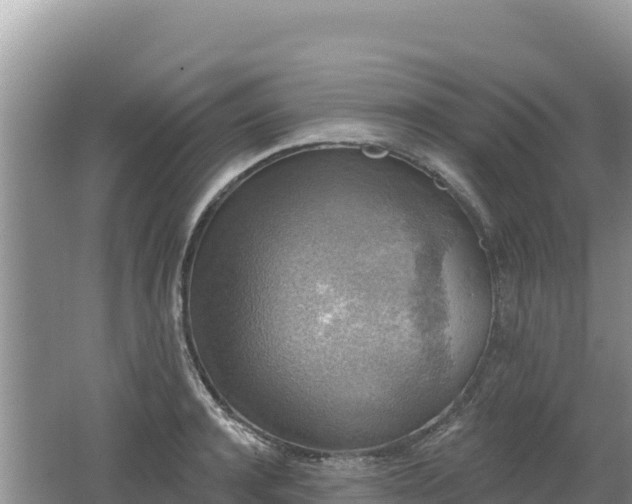 X0000062140944200512121238