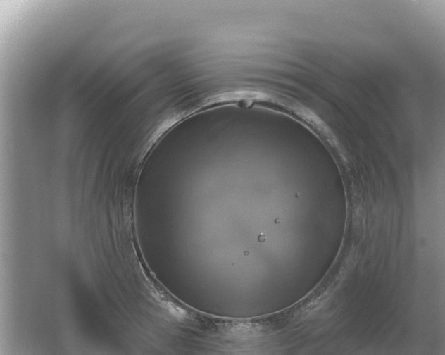 X0000062140945200512121238