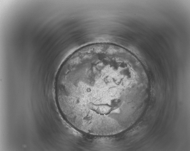 X0000062140950200512121238