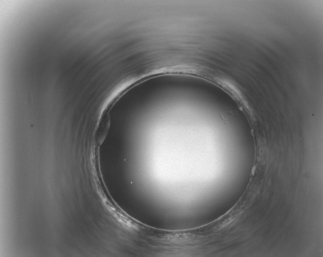 X0000062140952200512121238